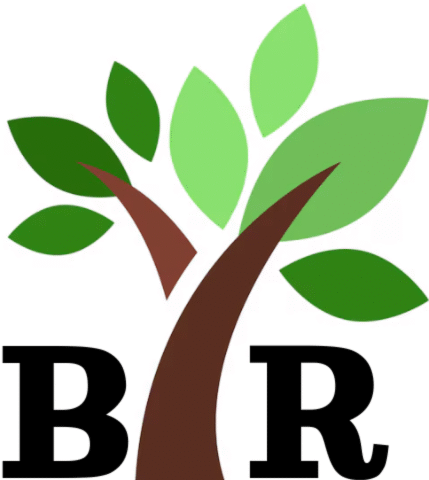buscandoraices.com